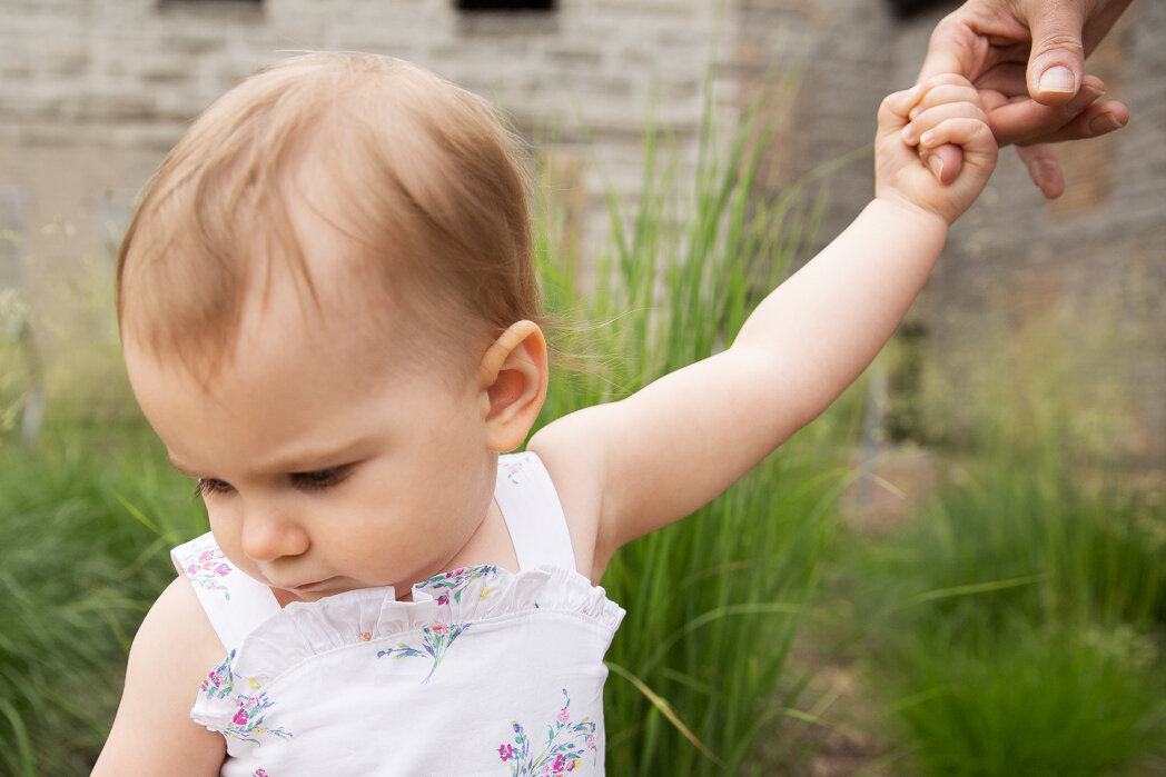 Baby walking through the grass, looking at something on the ground, while holding her parents finger