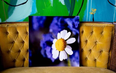 Why Art Prints Make Amazing Gifts | Fine Art Prints