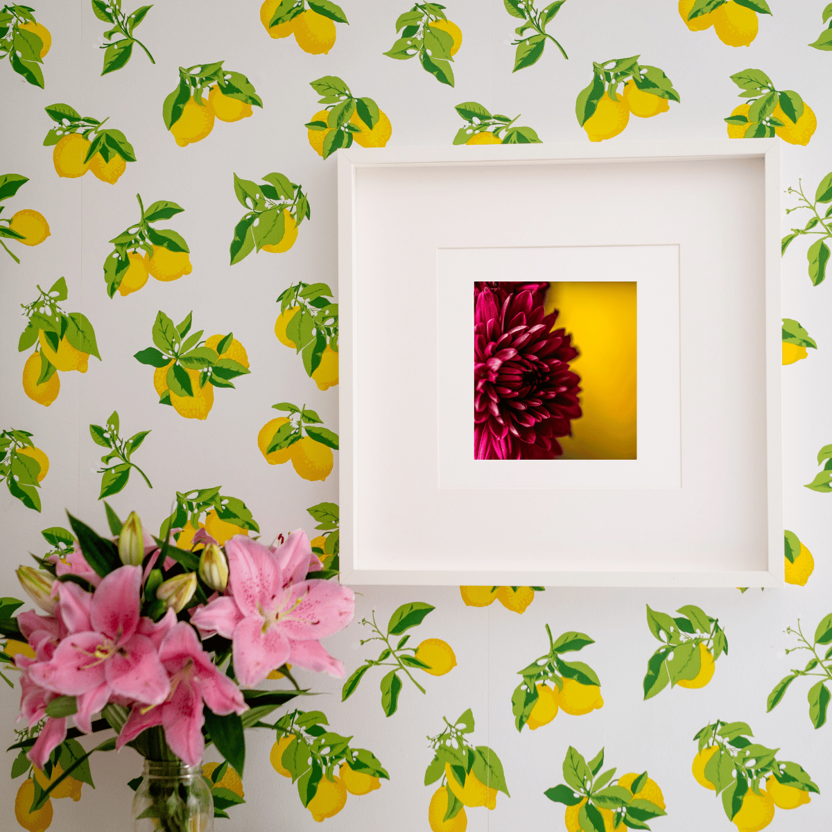 bold fine art print of a hot pink dahlia against a yellow background in a white frame hung on a wall with lemon printed wallpaper