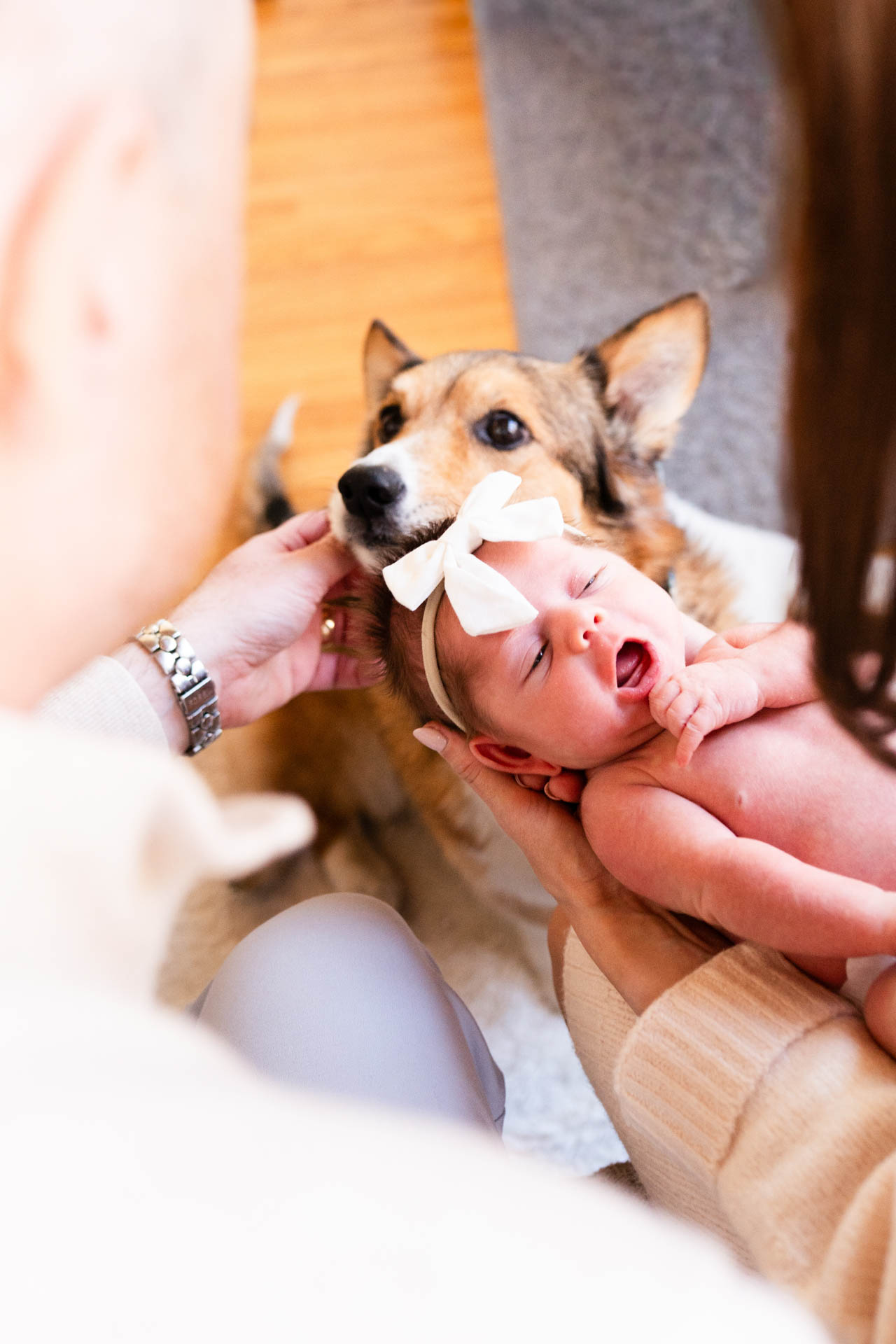 family of six holding hands and walking toward the camera at a golden hour family photo session